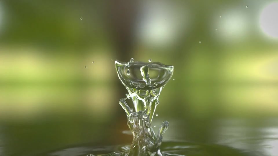 Water Drop Logo Reveal Videohive 26566618 After Effects Image 5