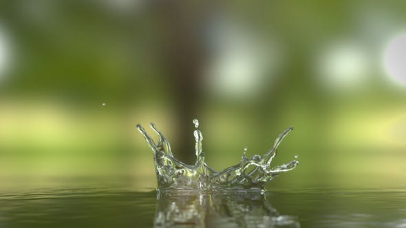 Water Drop Logo Reveal - Download 26566618 Videohive