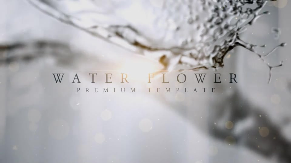 Water Flower Slideshow Videohive 22455754 After Effects Image 12