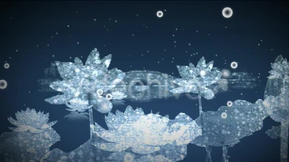 Water Flowers - Download Videohive 3169031