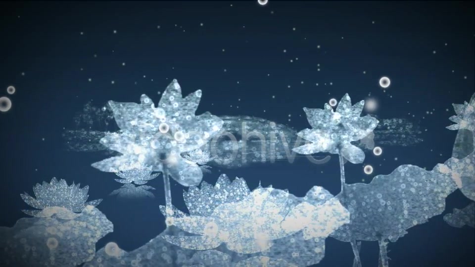 Water Flowers - Download Videohive 3169031