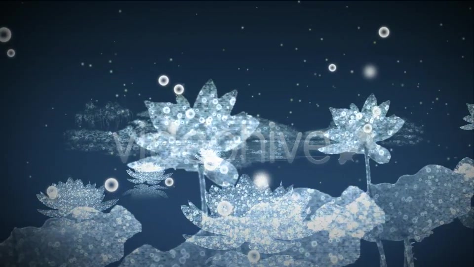 Water Flowers - Download Videohive 3169031