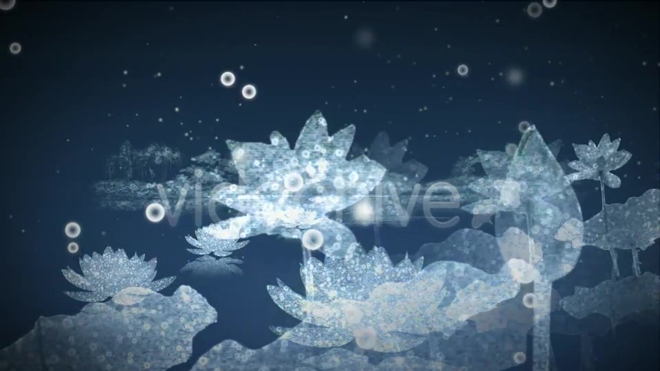 Water Flowers - Download Videohive 3169031