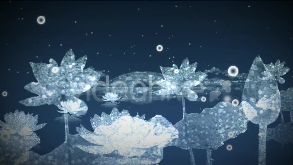 Water Flowers - Download Videohive 3169031