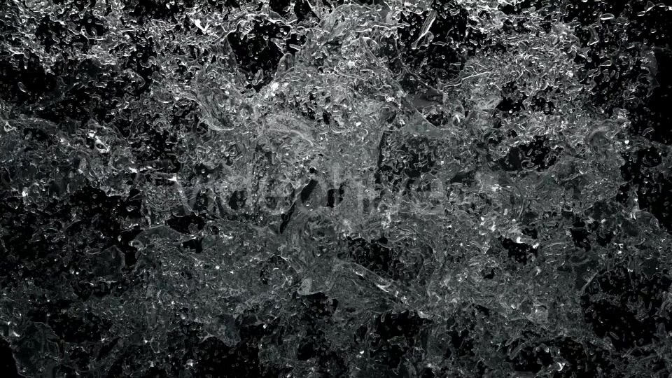 Water Splash Pack 4 Videohive 20903011 Motion Graphics Image 6