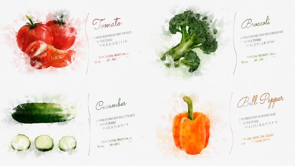 Watercolor Fruits And Vegetables - Download Videohive 22608905