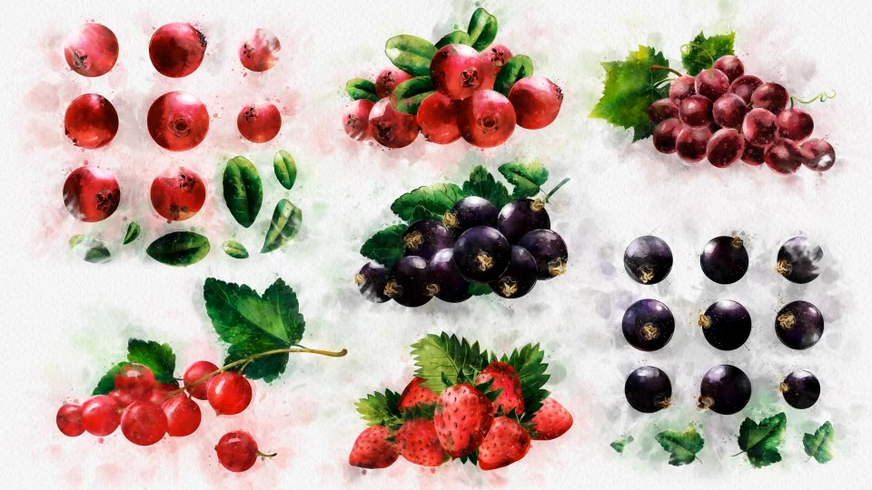 Watercolor Fruits And Vegetables - Download Videohive 22608905