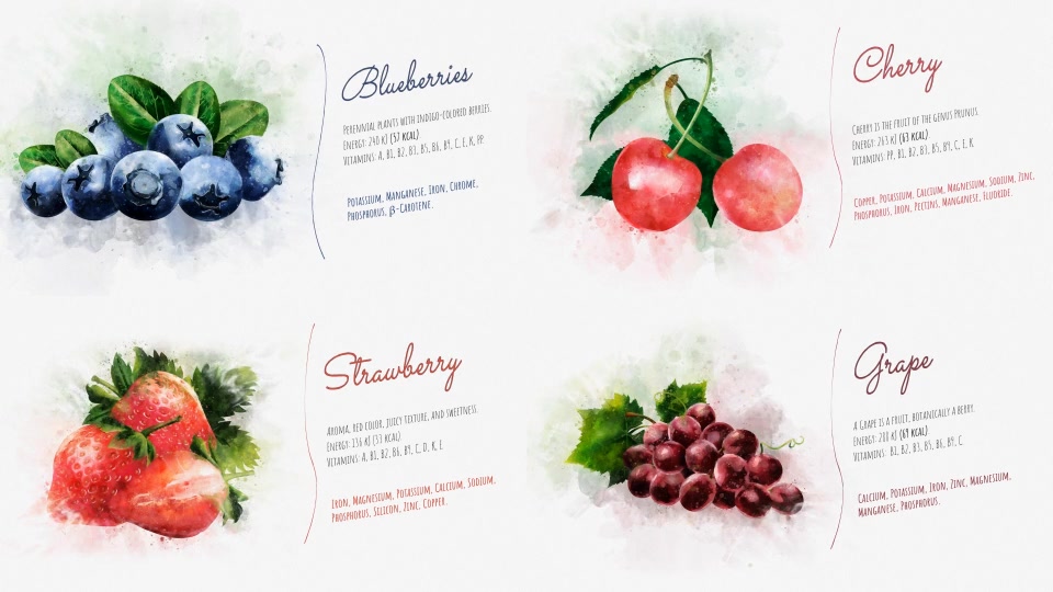 Watercolor Fruits And Vegetables - Download Videohive 22608905