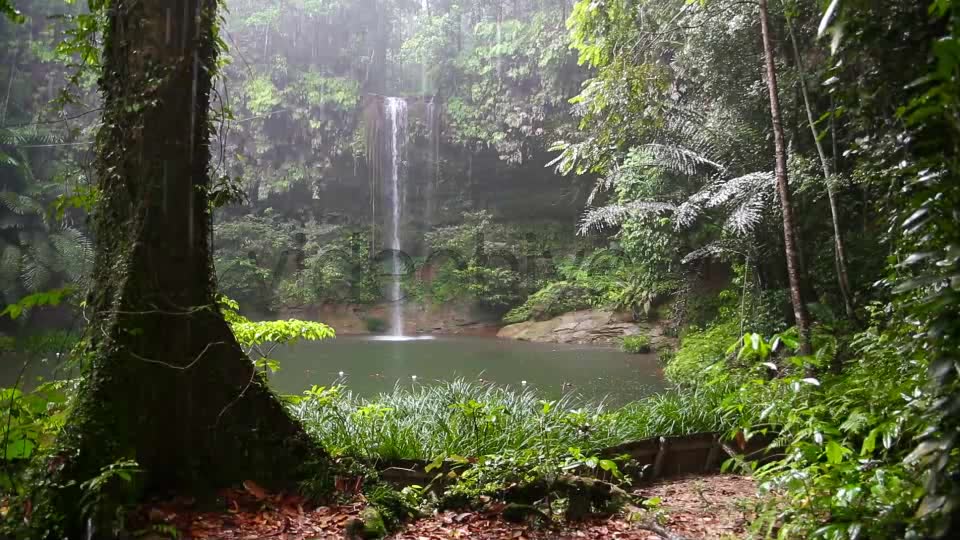 Waterfall At Borneo Rainforest  Videohive 3945914 Stock Footage Image 2