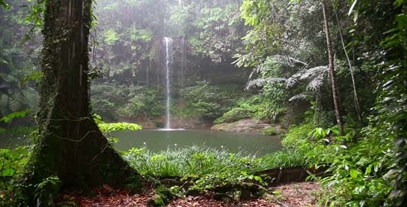 Waterfall At Borneo Rainforest  - Videohive Download 3945914