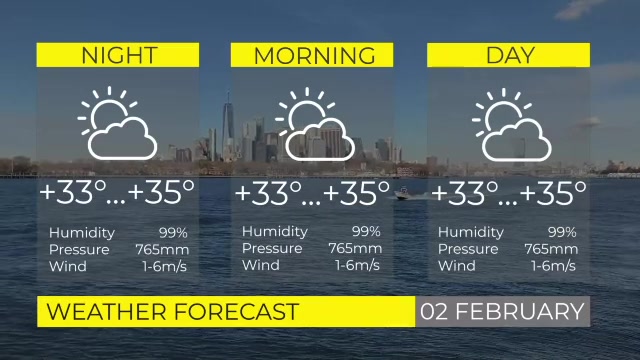Weather forecast Videohive 36114496 Premiere Pro Image 6