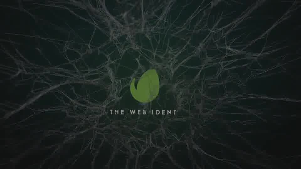 Webs Logo Reveal Videohive 29281835 After Effects Image 11