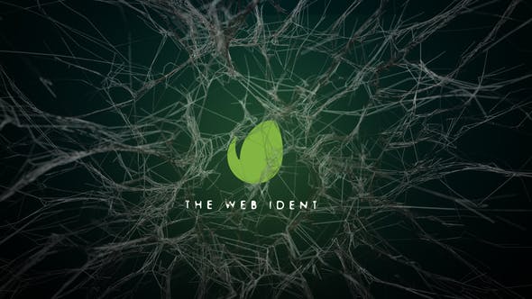 Webs Logo Reveal - 29281835 Download Videohive