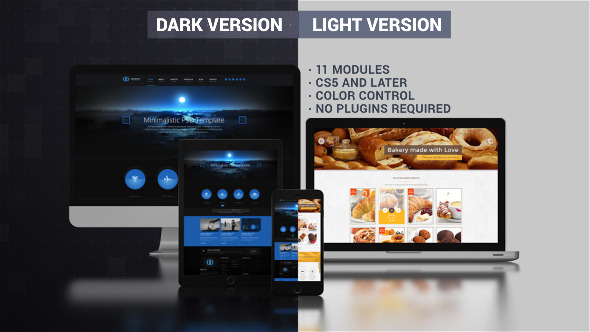 Website Presentation (Dark & Light) - Download Videohive 9725975