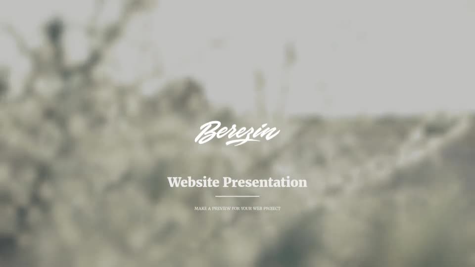Website Presentation - Download Videohive 15209673