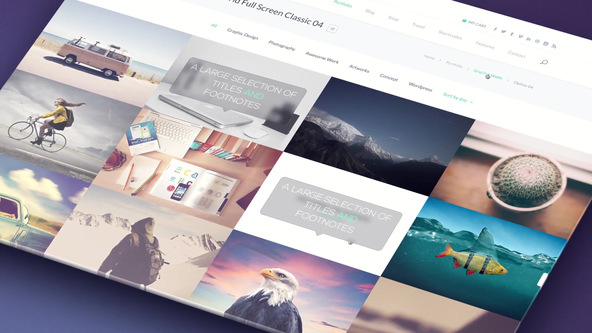 Website Presentation Pack - Download Videohive 16648358