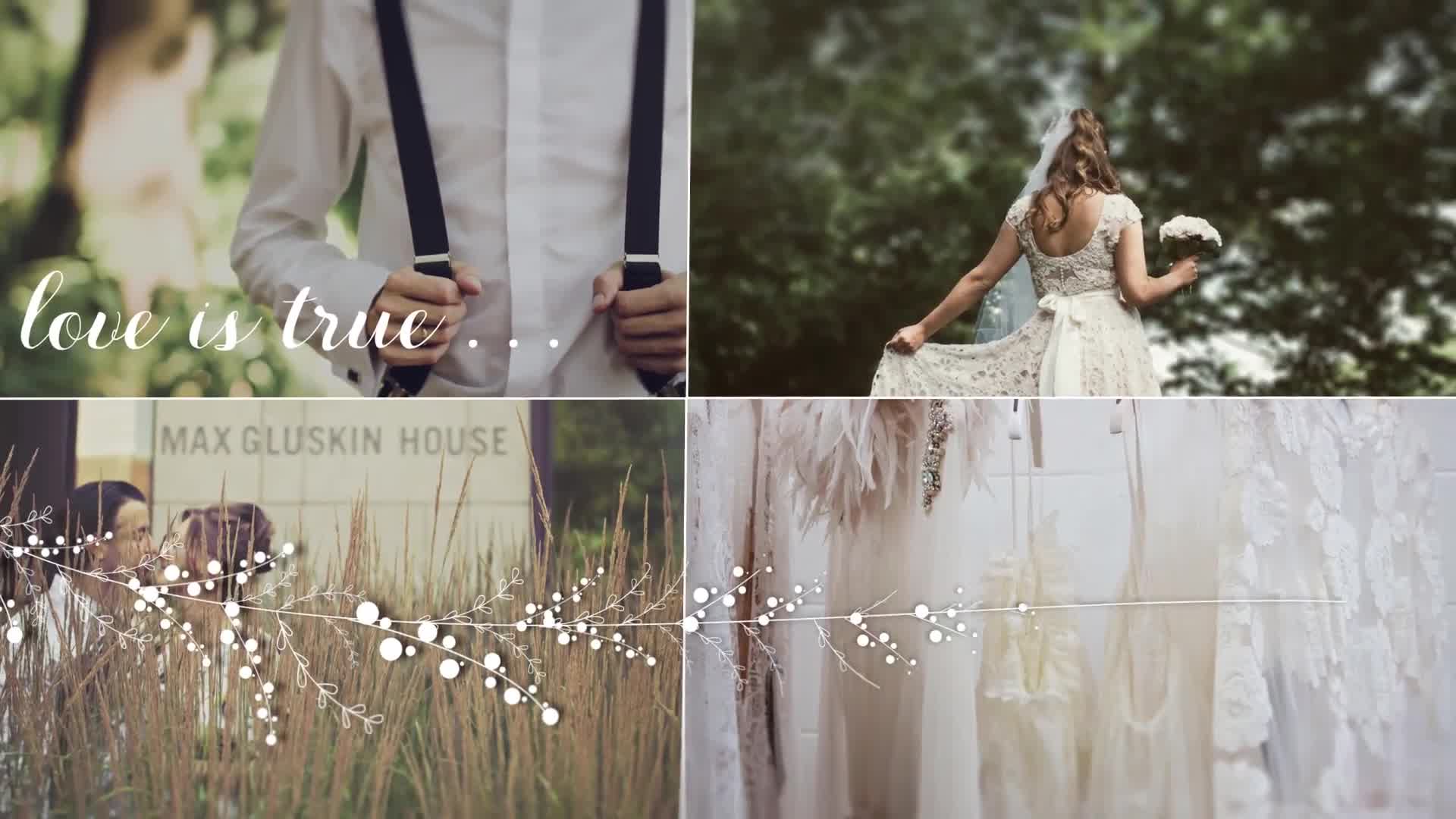 Wedding Videohive 21736740 After Effects Image 10