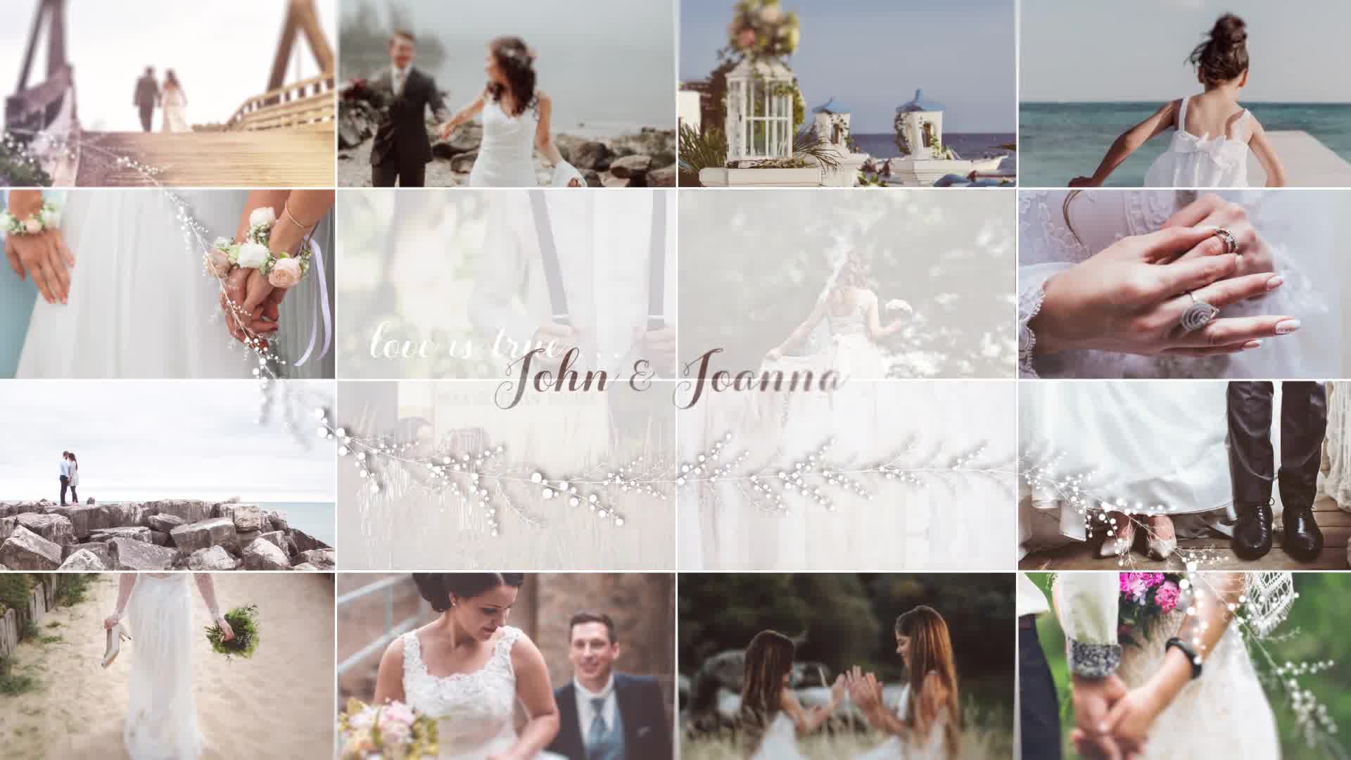Wedding Videohive 21736740 After Effects Image 11