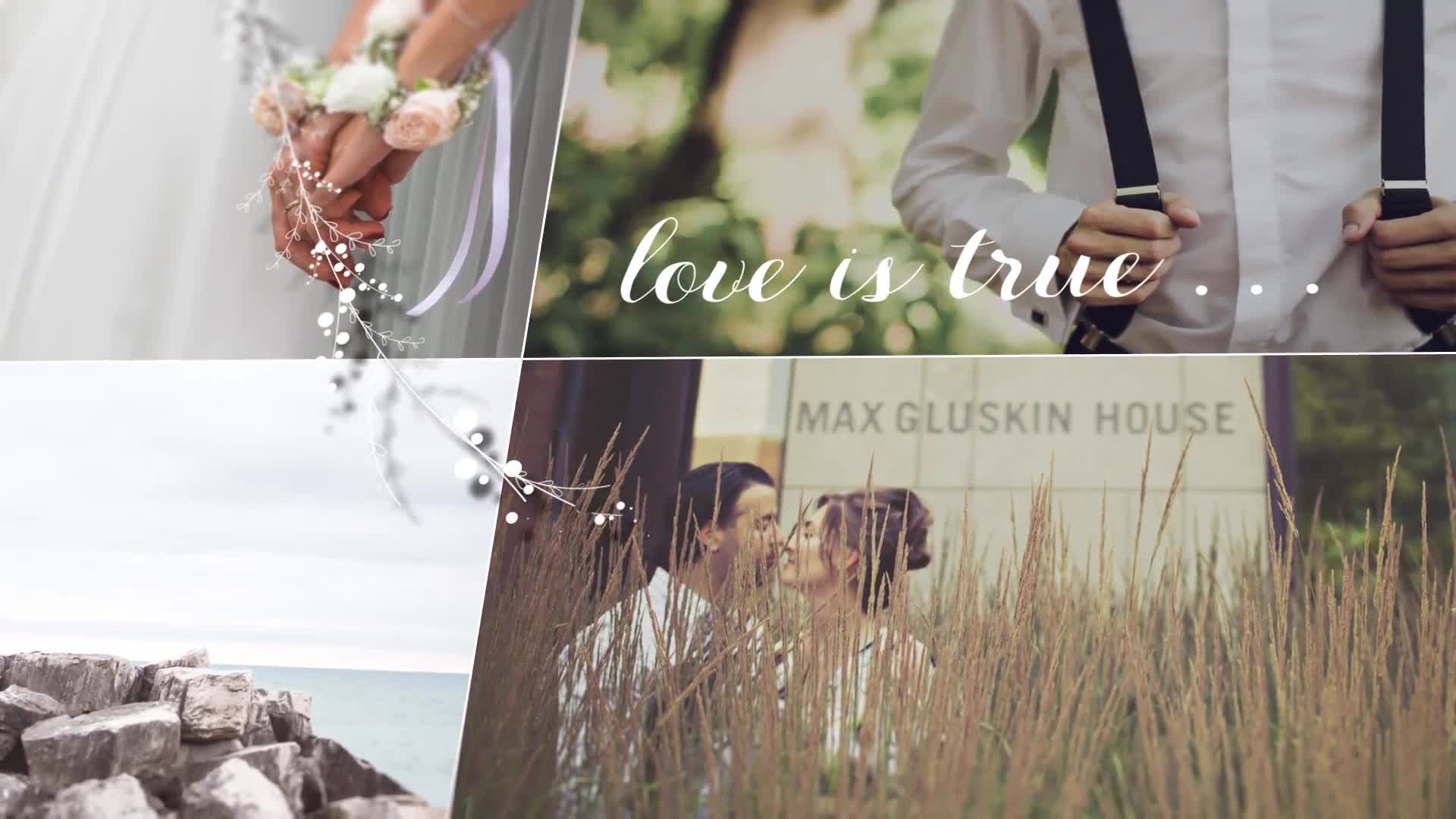 Wedding Videohive 21736740 After Effects Image 9