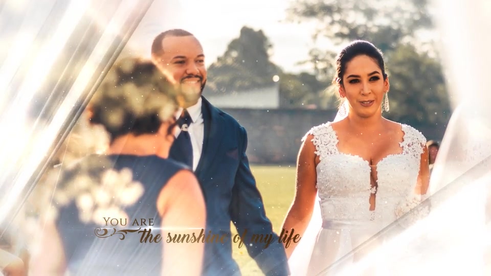 Wedding Videohive 24225155 After Effects Image 6