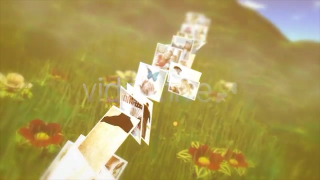 Wedding Adventure Videohive 3525505 After Effects Image 4