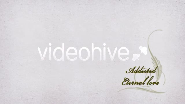 Wedding Album Videohive 143509 After Effects Image 2