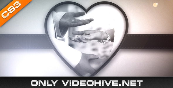 Wedding Album - Download Videohive 407145