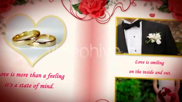 Wedding Album Red Roses - Download Videohive 150060
