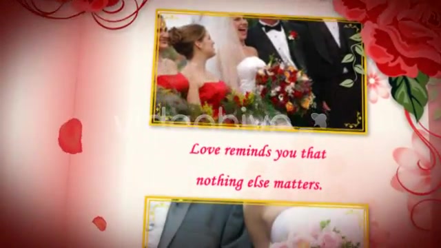 Wedding Album Red Roses - Download Videohive 150060