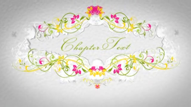 Wedding Album Videohive 2419459 After Effects Image 12