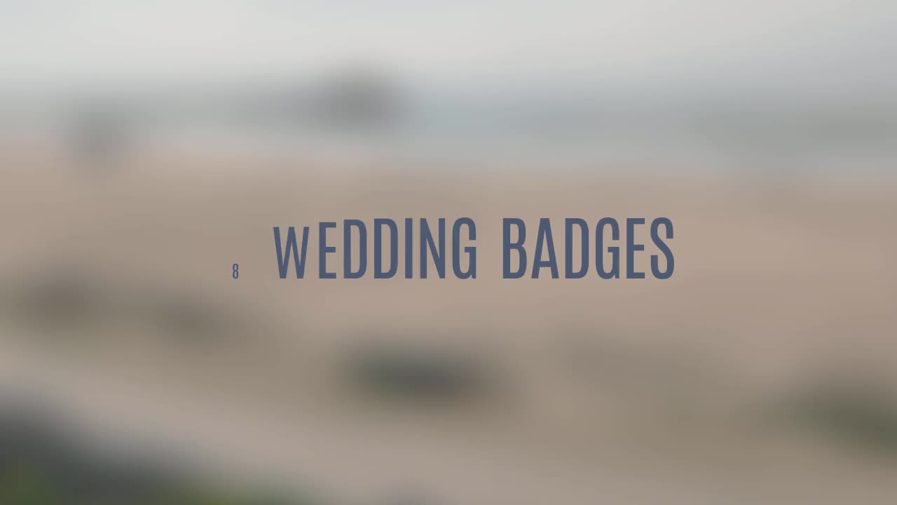 Wedding Badges - Download Videohive 11403215