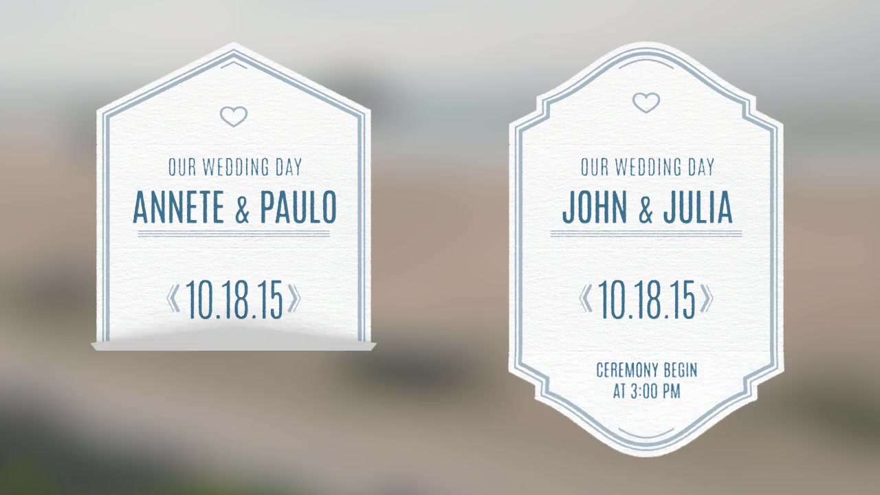 Wedding Badges - Download Videohive 11403215