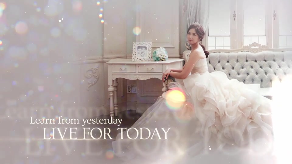Wedding Ceremony Videohive 31381173 After Effects Image 5