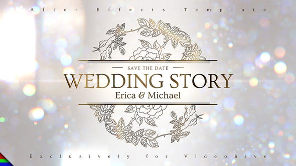 Wedding Ceremony - Download 31381173 Videohive