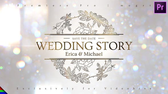 Wedding Ceremony - Videohive Download 38184123