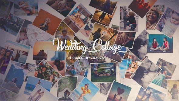 Wedding Collage - Download 21895757 Videohive