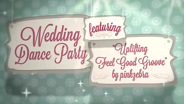 Wedding Dance Party - Download Videohive 1593835