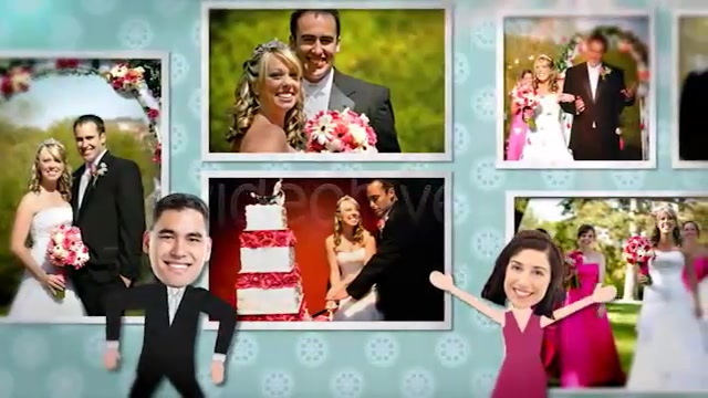 Wedding Dance Party - Download Videohive 1593835