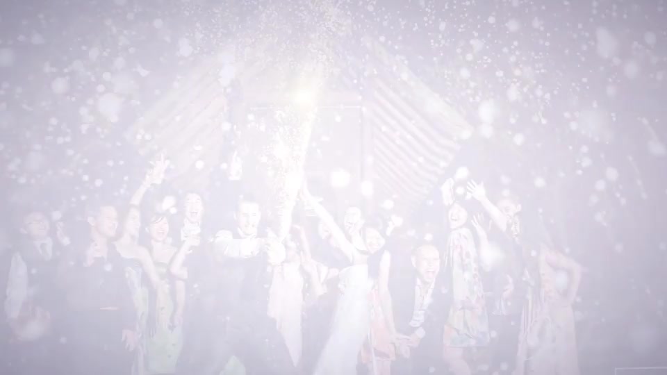 Wedding Day Videohive 21205306 After Effects Image 10