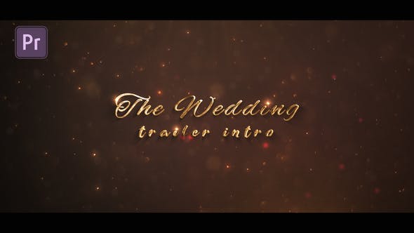 Wedding Day - Download 27679602 Videohive