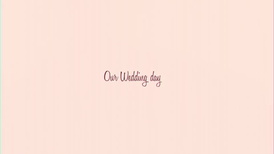 Wedding Day - Download Videohive 21137731