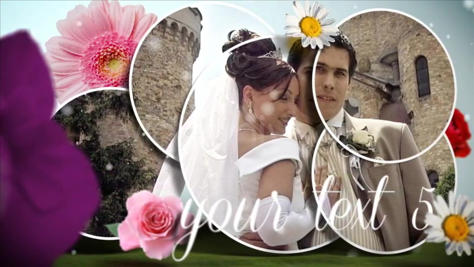 Wedding Day - Download Videohive 3106418