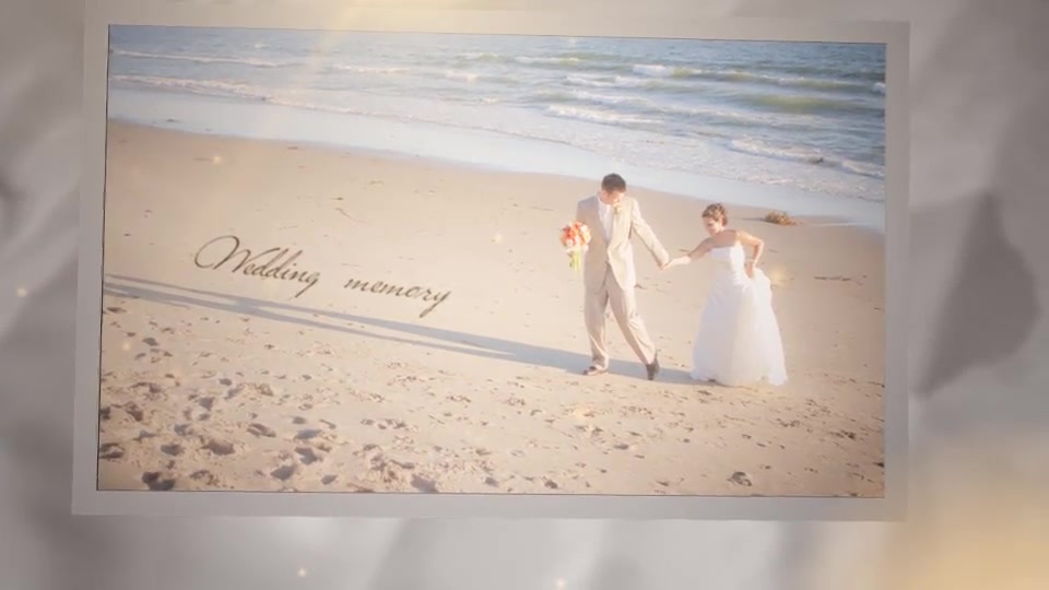 Wedding day - Download Videohive 6233546