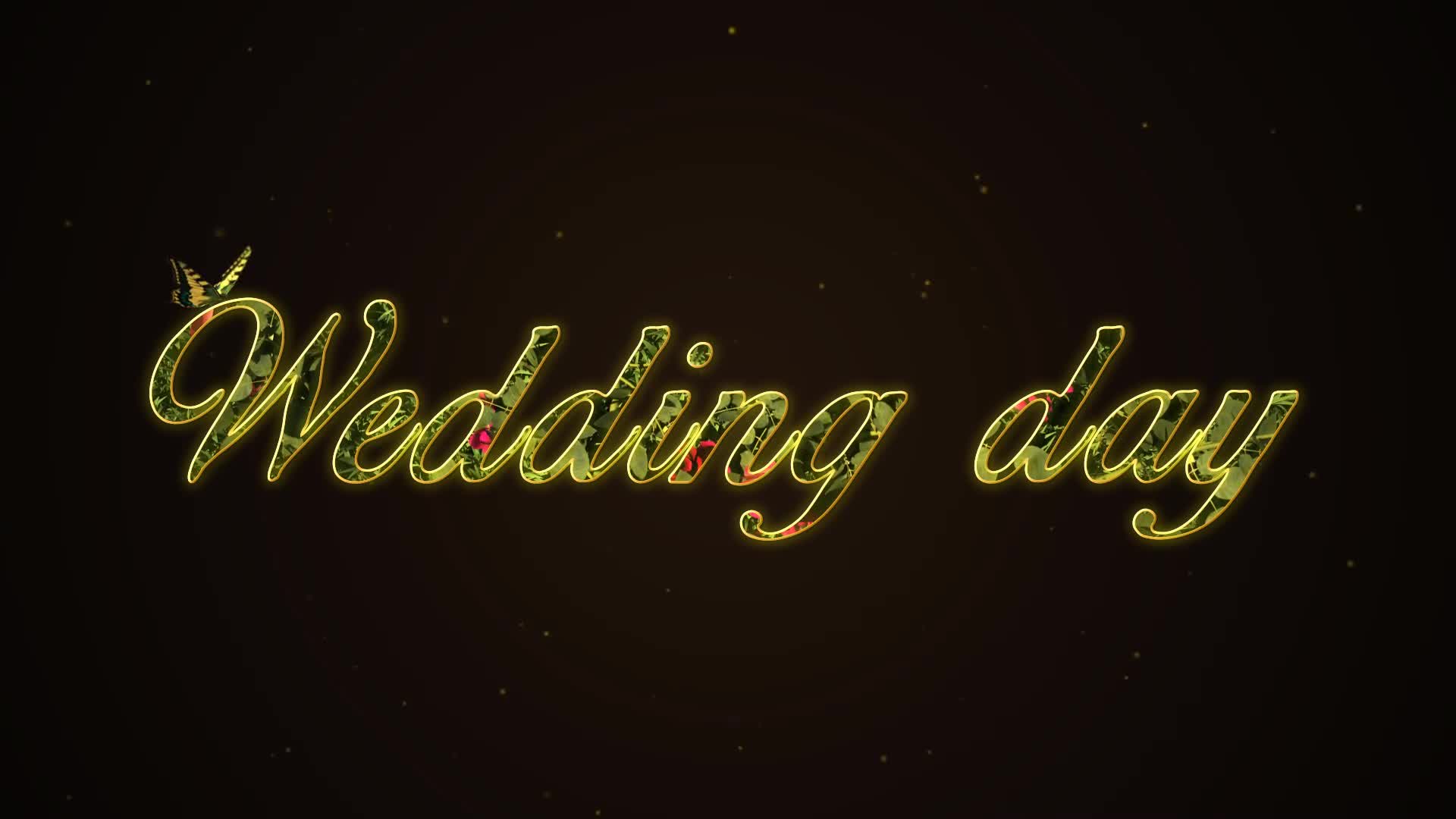 Wedding Day - Download Videohive 8617903