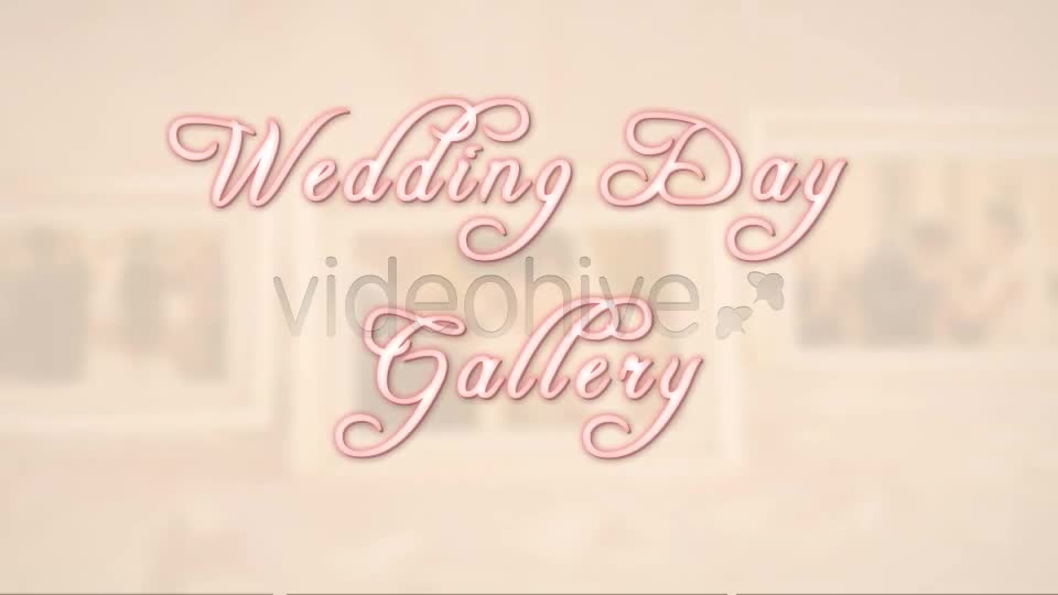 Wedding Day Gallery - Download Videohive 4383705