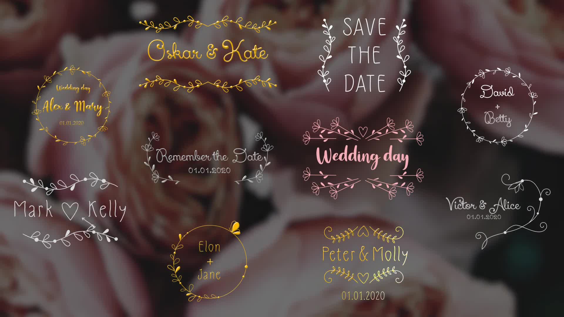 Wedding Day Titles | After Effects Videohive 33468015 After Effects Image 1