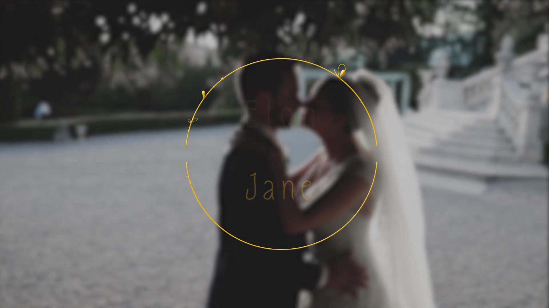 Wedding Day Titles | After Effects Videohive 33468015 After Effects Image 5