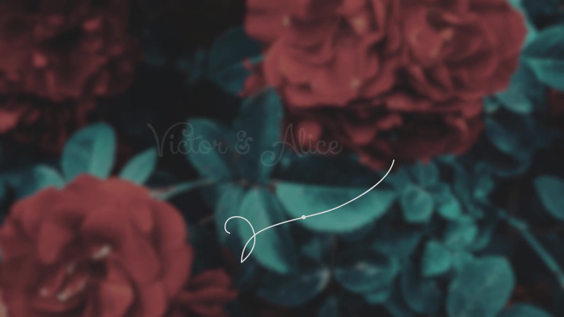 Wedding Day Titles | After Effects Videohive 33468015 After Effects Image 7