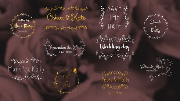 Wedding Day Titles | After Effects - Videohive 33468015 Download