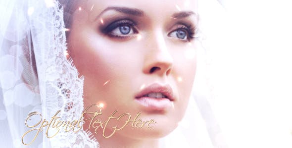 Wedding Day - Videohive 4055814 Download